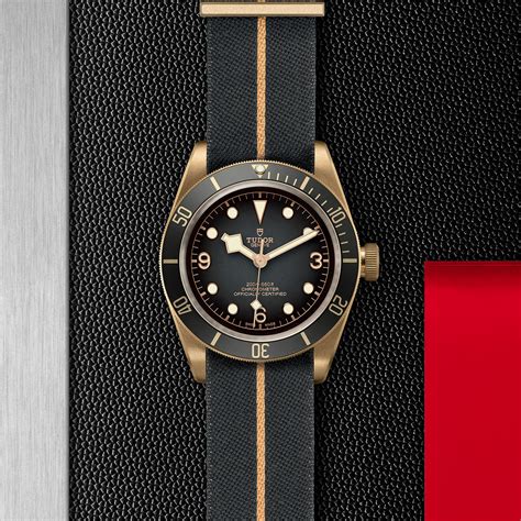 tudor black bay bronze case